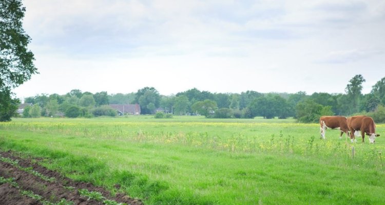 biologisch_landbouw