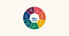 MVO Nederland introduceert NEx-check: test hoe duurzaam je bedrijf is