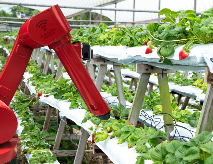 Event 'Duurzaamheid nastreven in het voedseldomein met behulp van AI-innovatie'