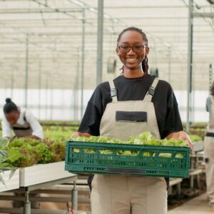 Portrait,Of,Organic,Food,Grower,Showing,Crate,With,Fresh,Lettuce