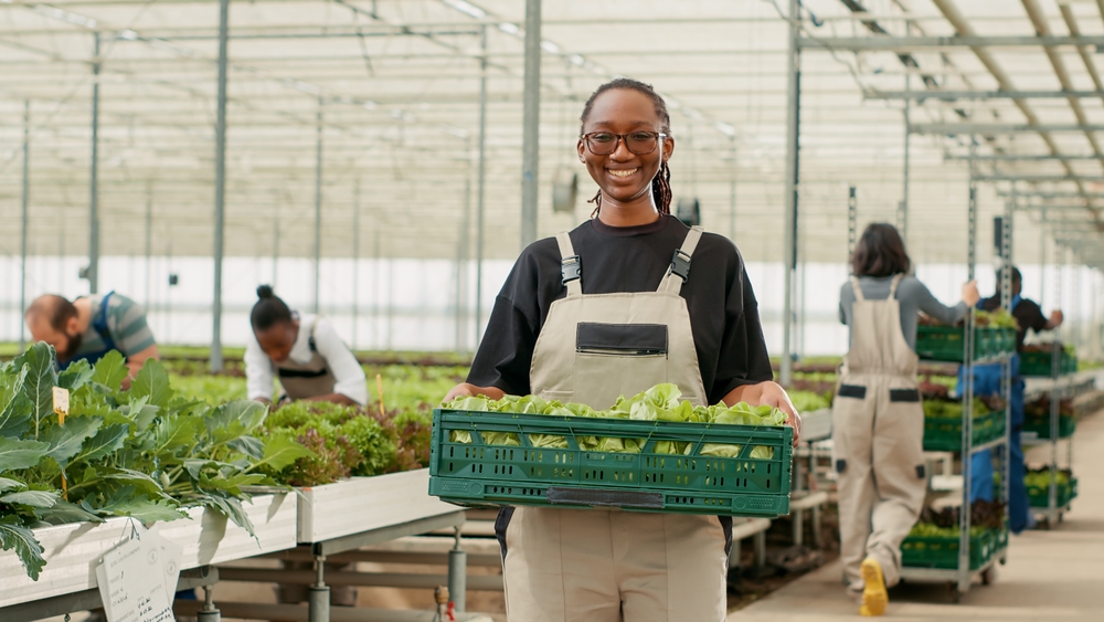 Portrait,Of,Organic,Food,Grower,Showing,Crate,With,Fresh,Lettuce